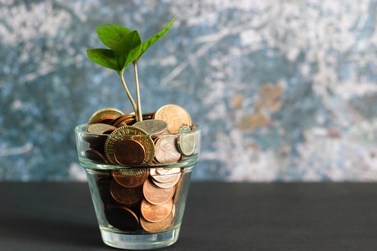 Money tree growing out of glass out filled with coins